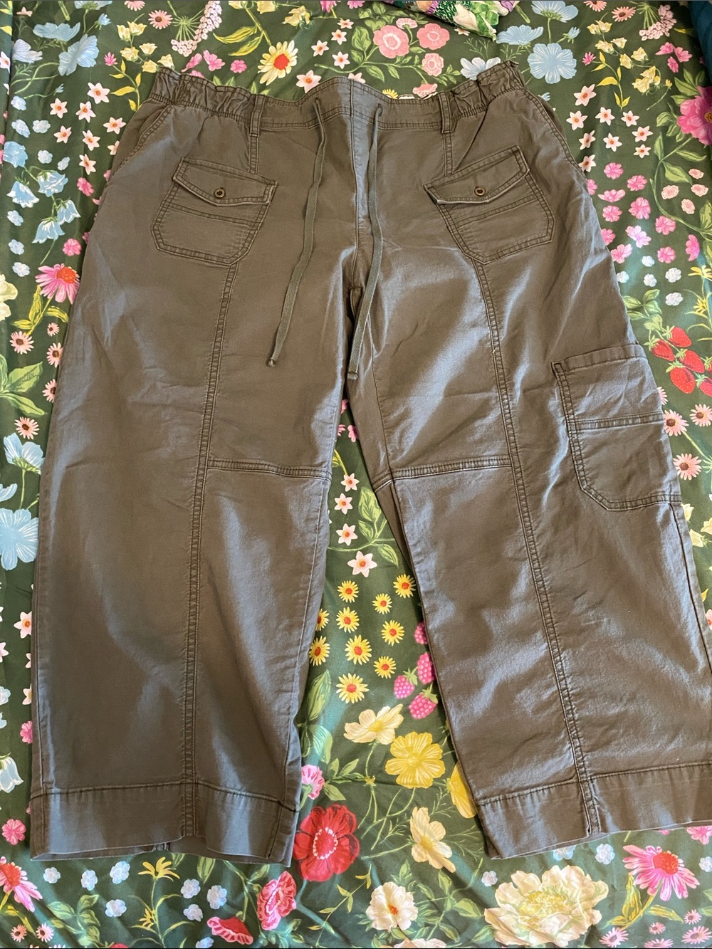 Pilcro Olive Brown Cargo Pants with Drawstring Waist
